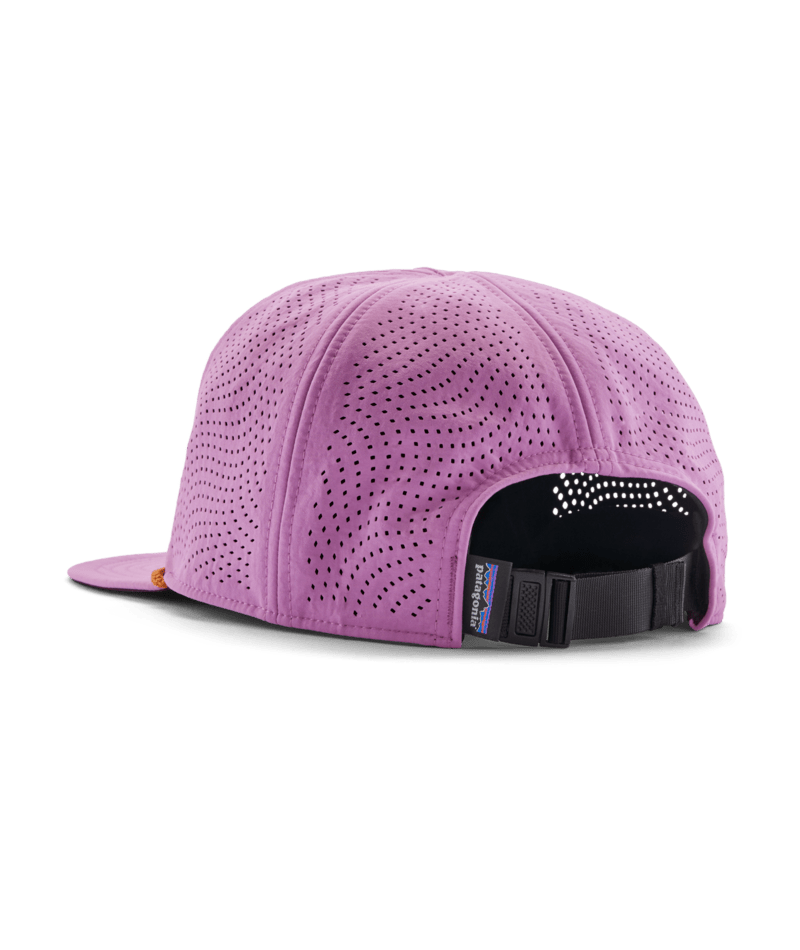 33556|DWPU|2