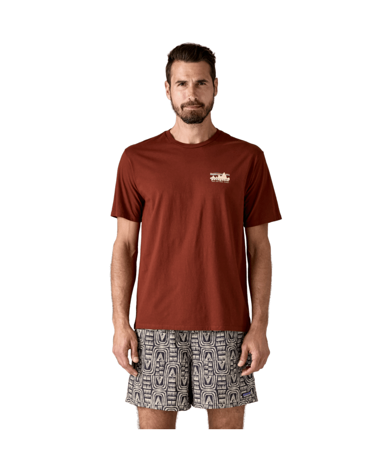 37534|DVL|2