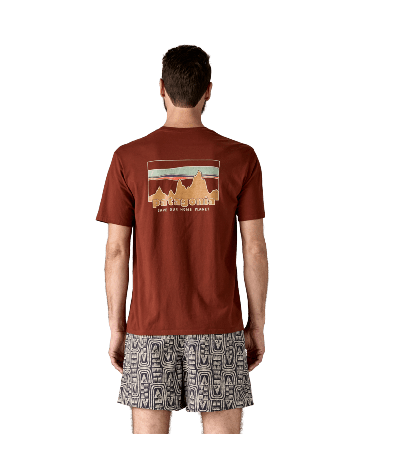 37534|DVL|3