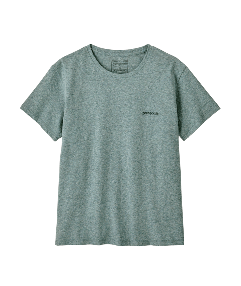 37567|BLSG|2