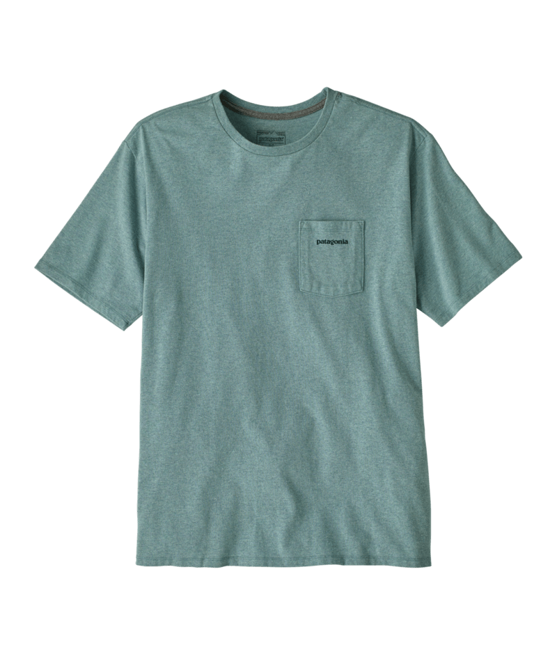 37655|BLSG|2