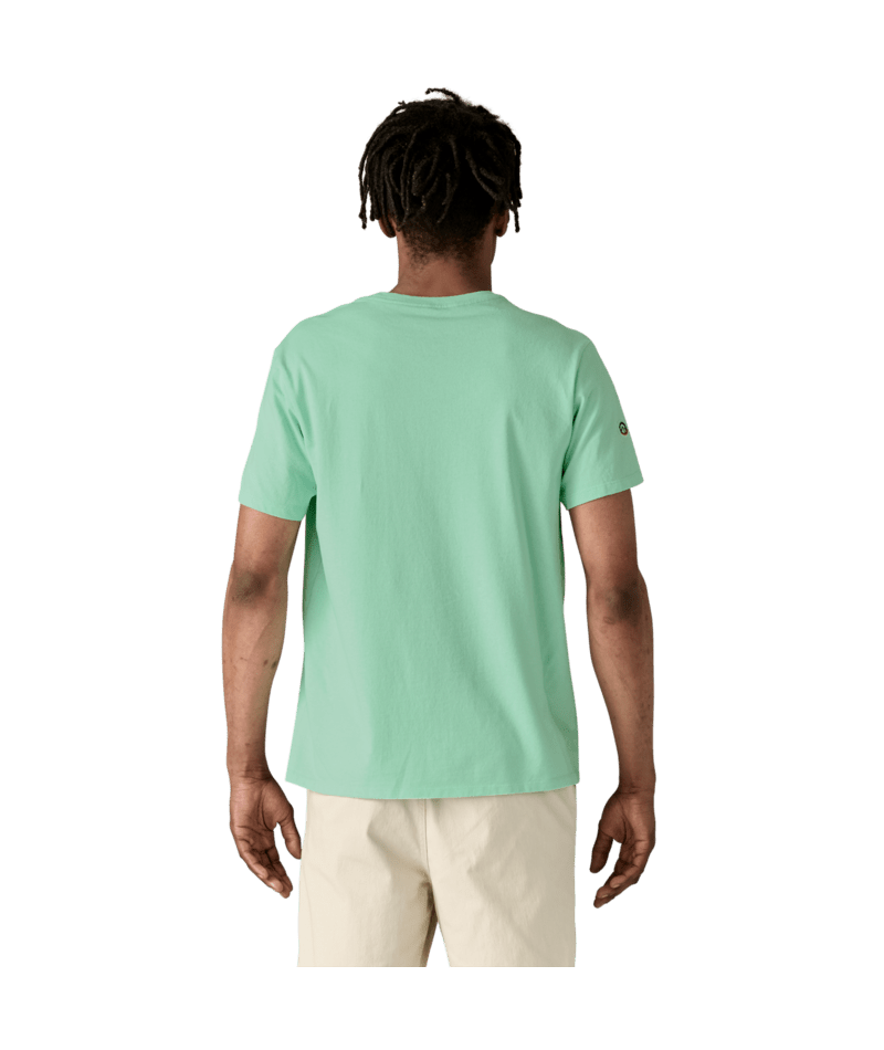 37665|RNSG|3
