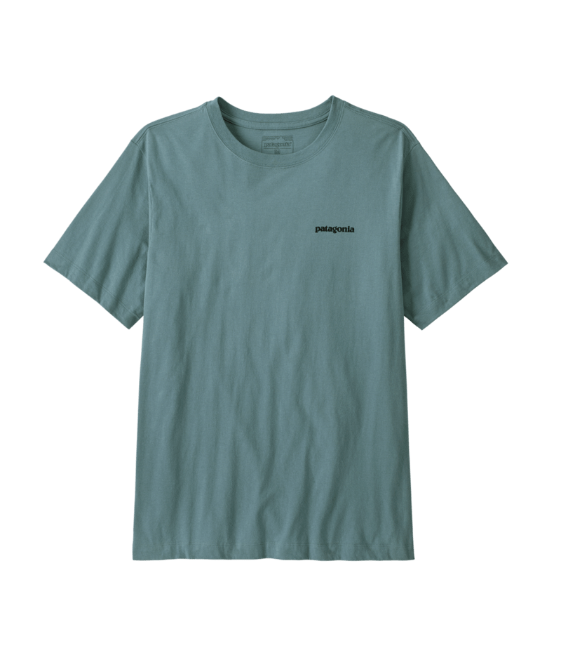 37882|BLSG|2