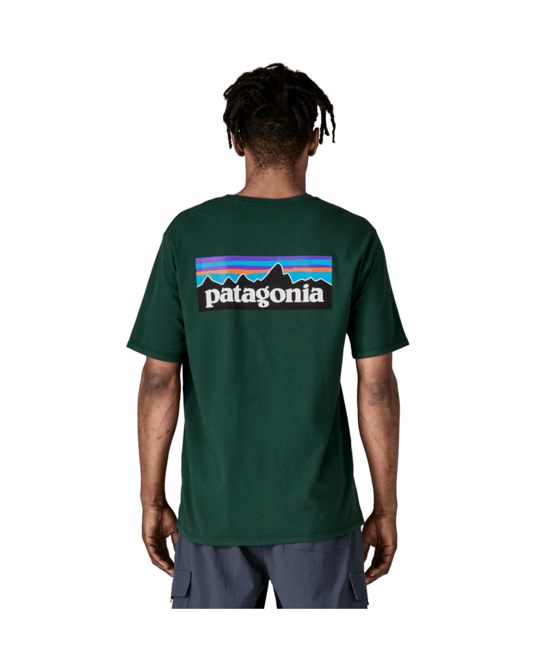 38504|CASG|3