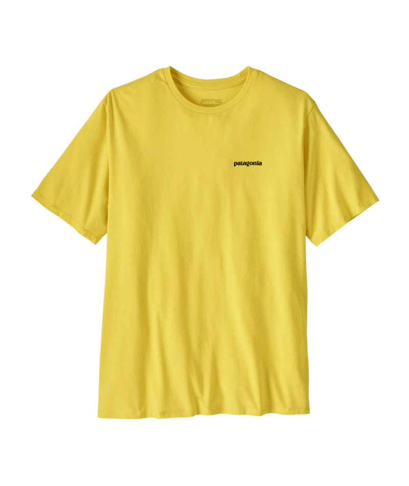 38504|POLM|2