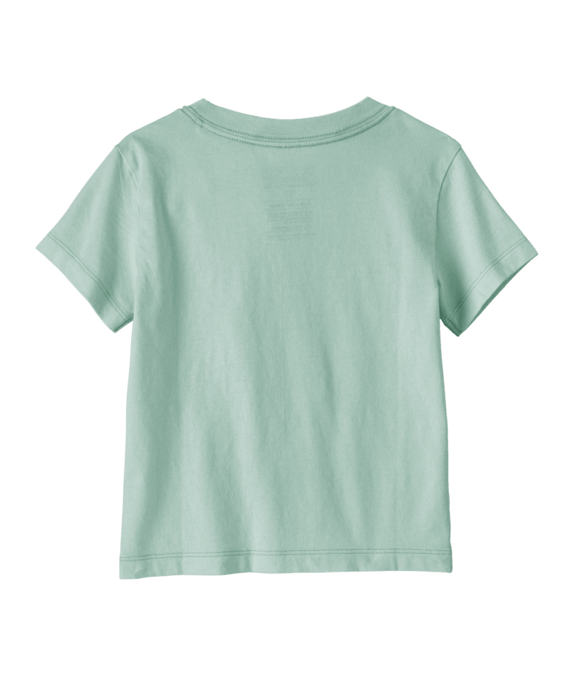 60389|PDTI|2