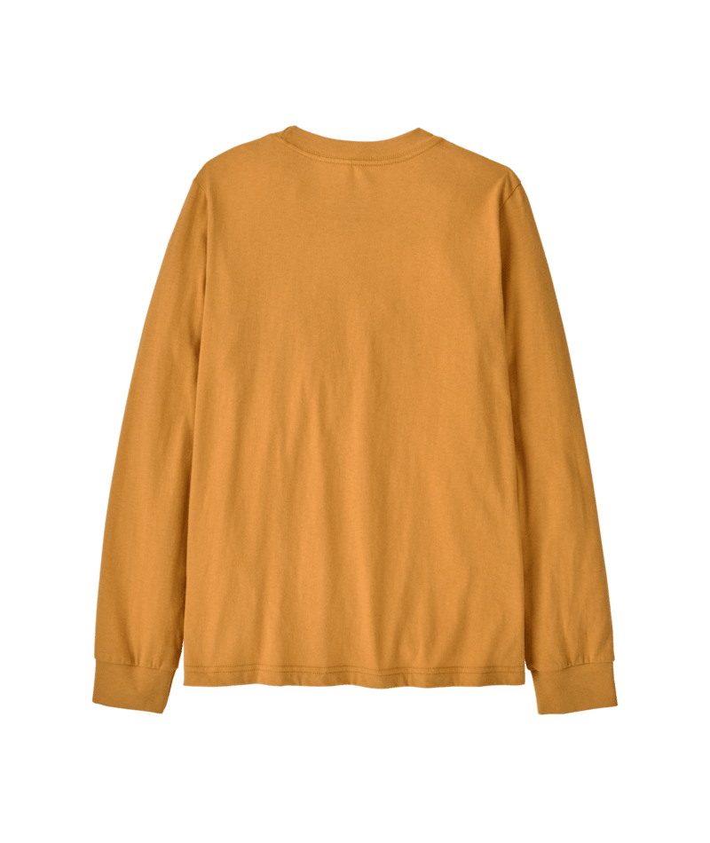 62275|DMGO|2