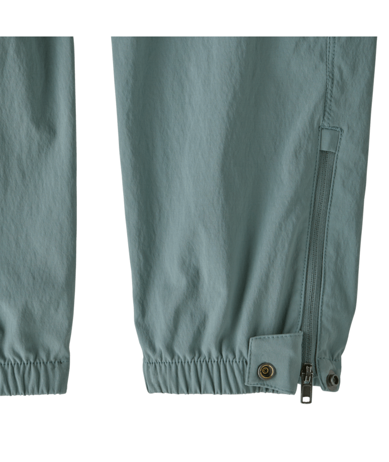 66560|BLSG|3