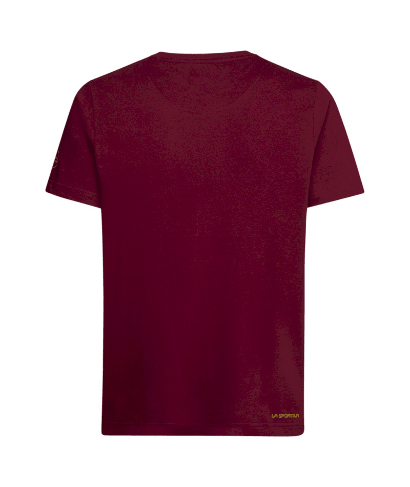 ZACT205|R25R25|2