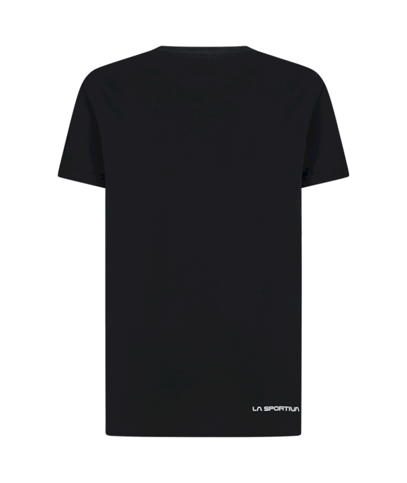 ZACT225|K00K00|2