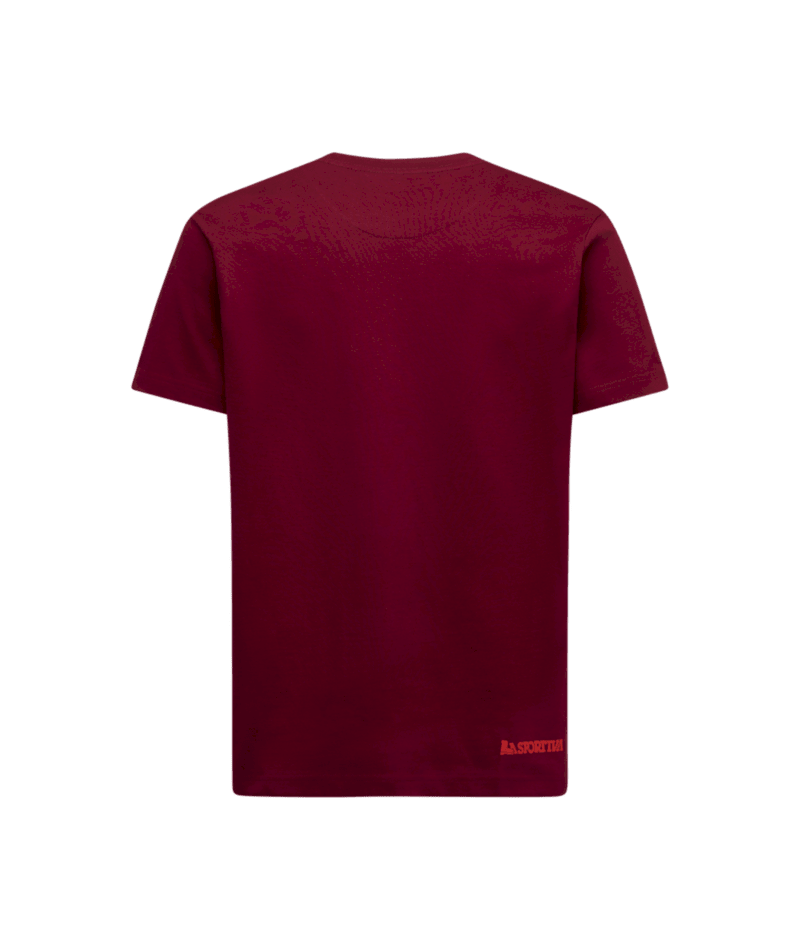 ZACT244|R25R24|2