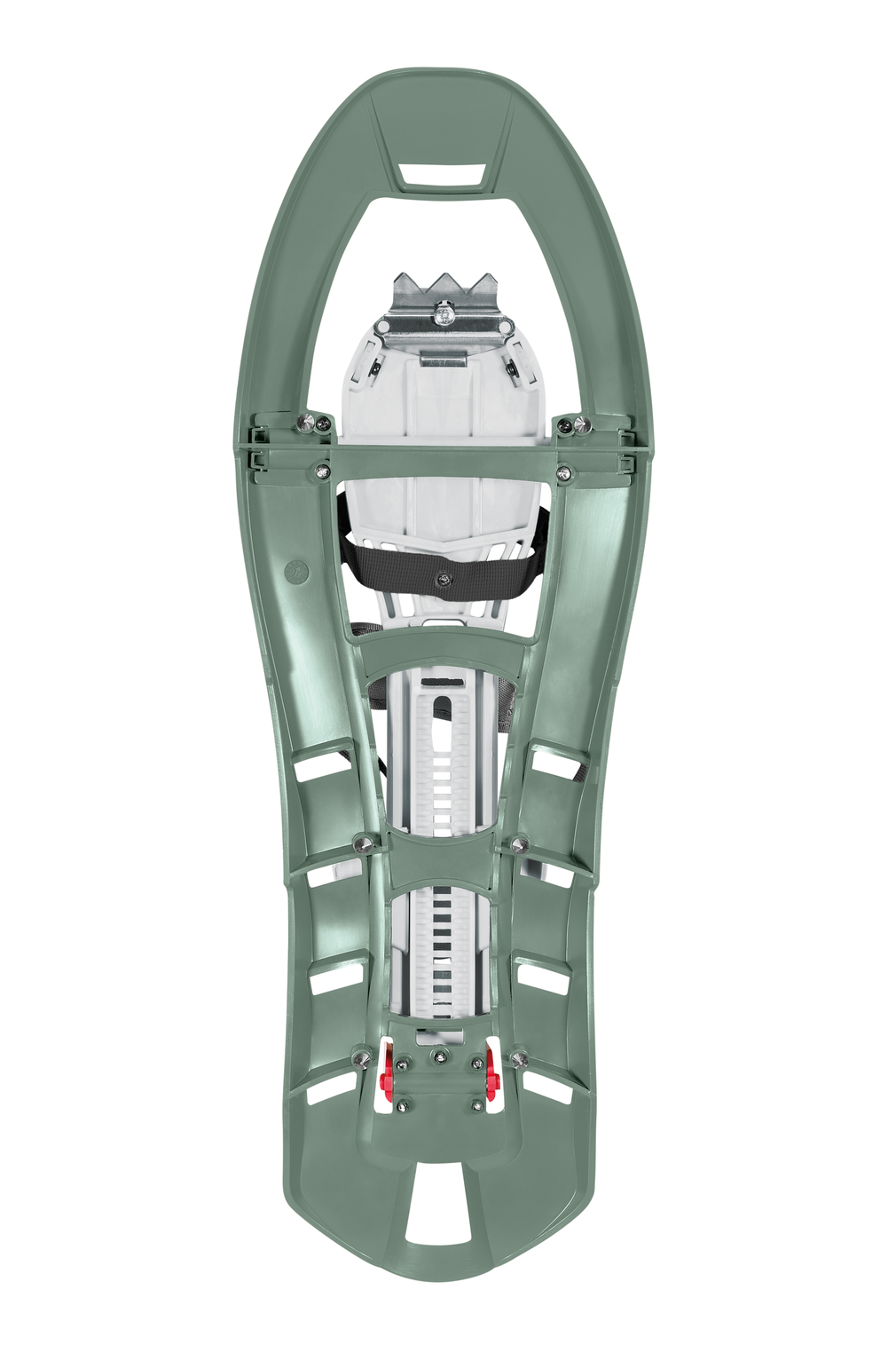 FERRINO - PINTER CASTOR