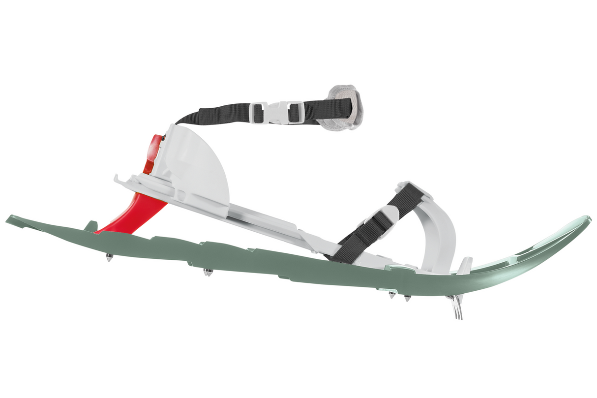 FERRINO - PINTER CASTOR