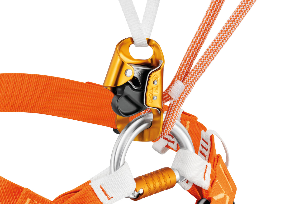 L002AB00-DUAL-CAVING-focus-1