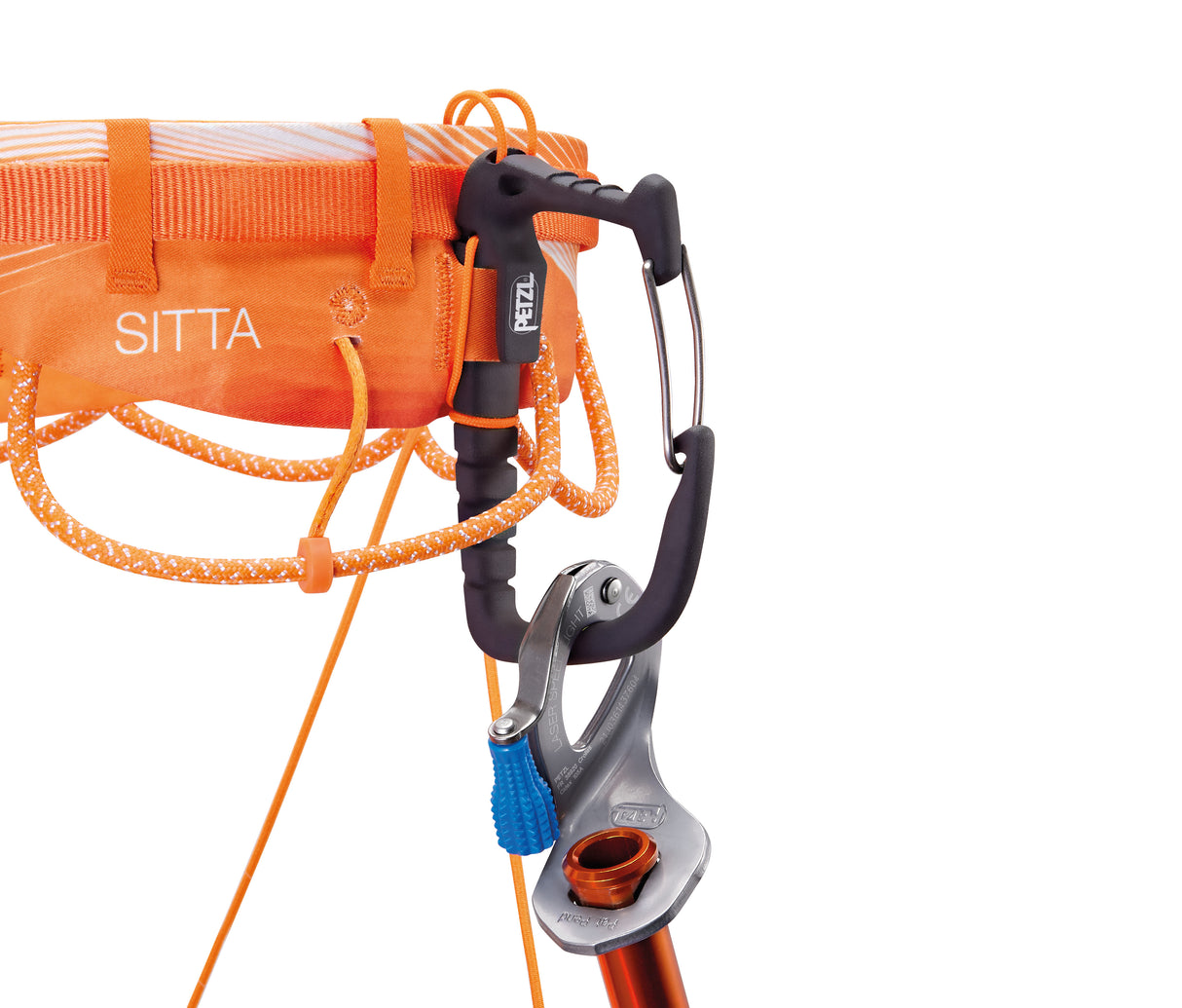 C011AA01-SITTA-focus-2