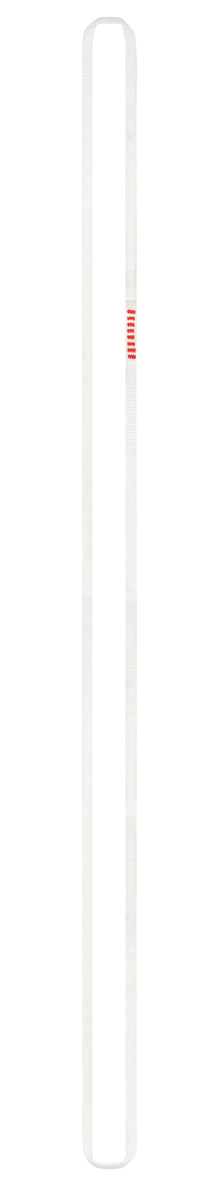 G006AA01-PUR-ANNEAU-120