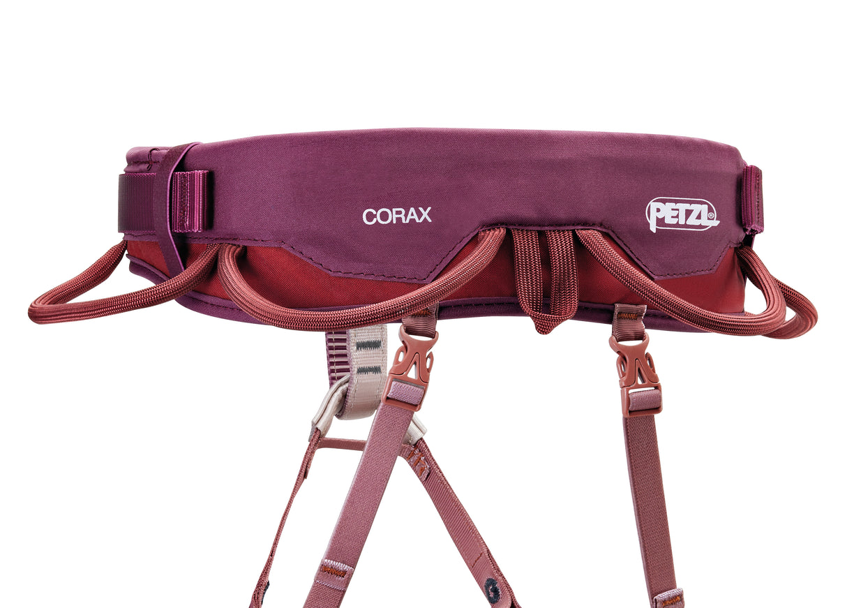 C051CB-CORAX-focus-2