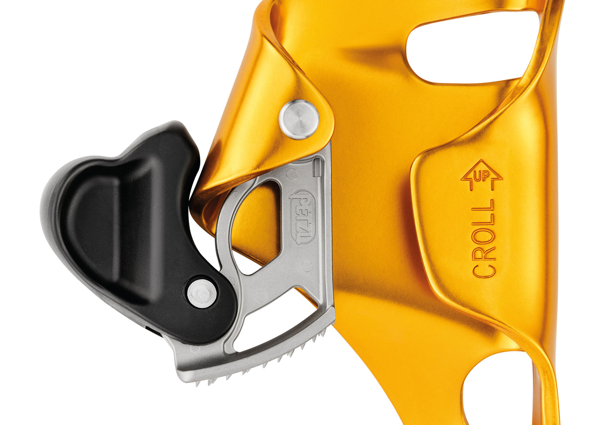 B016AA00-CROLL-L-focus-2