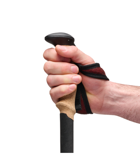 BLACK DIAMOND - PURSUIT CARBON Z POLES