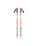 BD111610|8001