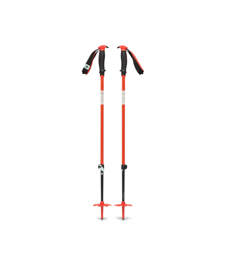 BD111610|8001