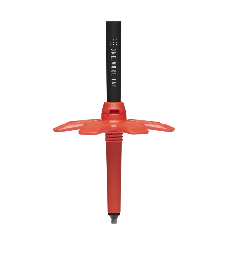 BLACK DIAMOND - TRAVERSE SKI POLES