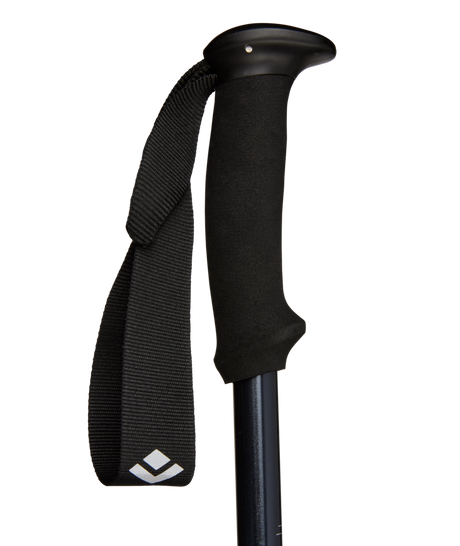 BLACK DIAMOND - EXPLORER 2 TREKKING POLES