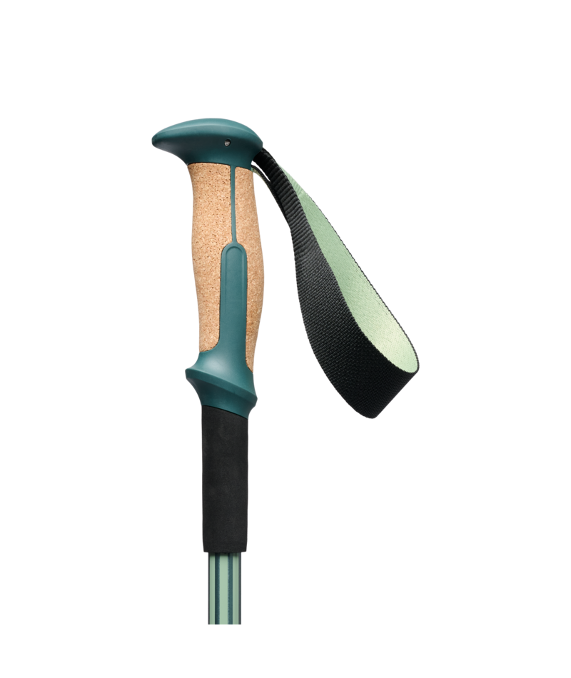 BLACK DIAMOND - TRAIL VISTA SHOCK TREK POLES