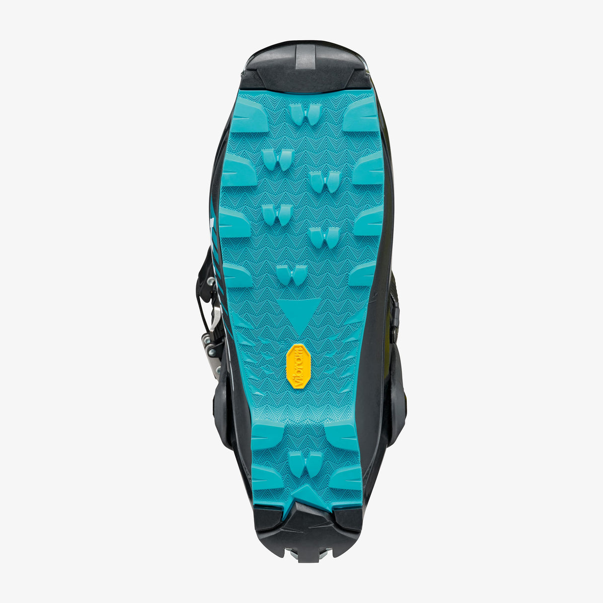 F1 Xt image 5