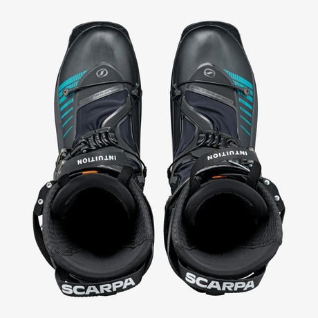 F1 Xt image 6