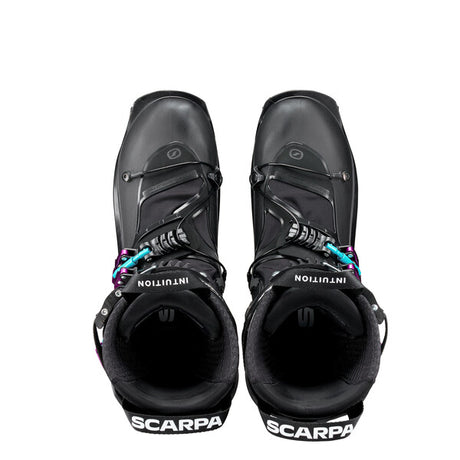 F1 Xt - CARBON - VIOLET - ALT5 - e8f896cef91a7eb4