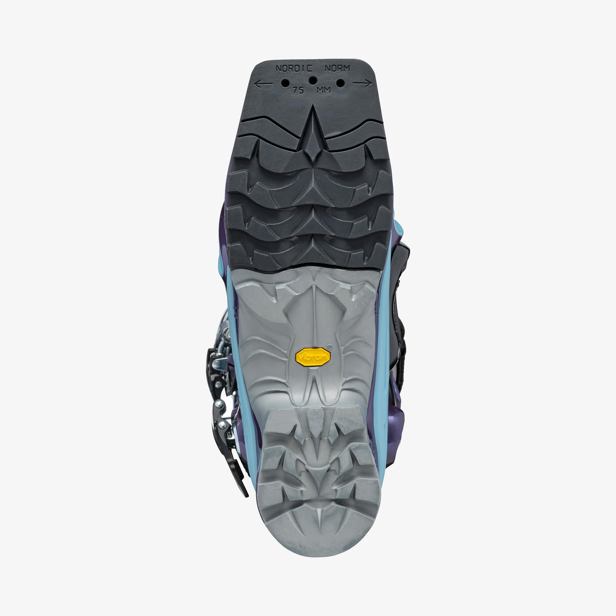 T2 ECO image 5