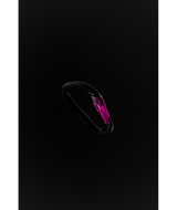 BD210212|0002|2