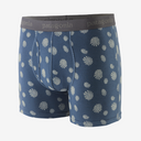 32555|SNYU