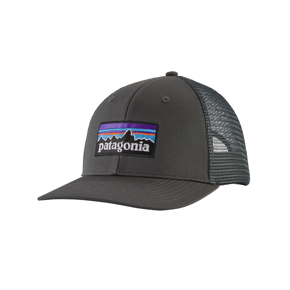 Patagonia - P-6 Logo Trucker Hat