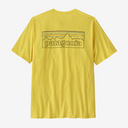 38504|POLM