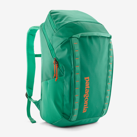 Patagonia - Black Hole Pack 32L