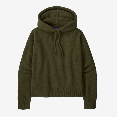 Patagonia Women's Recycled Wool-Blend Hooded Pullover Sweater