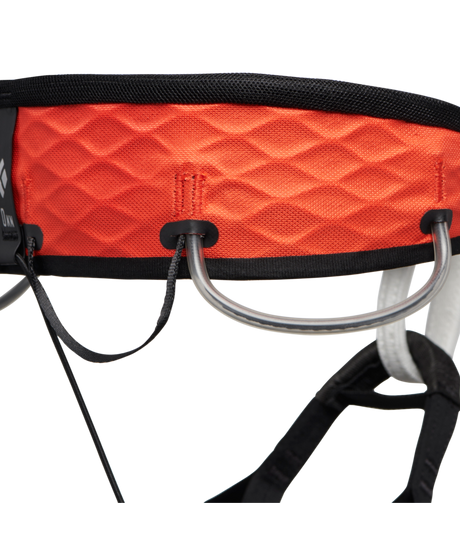 BLACK DIAMOND - M AIRNET HARNESS