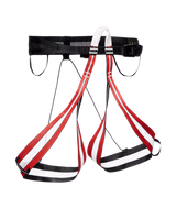 BLACK DIAMOND - COULOIR LT HARNESS