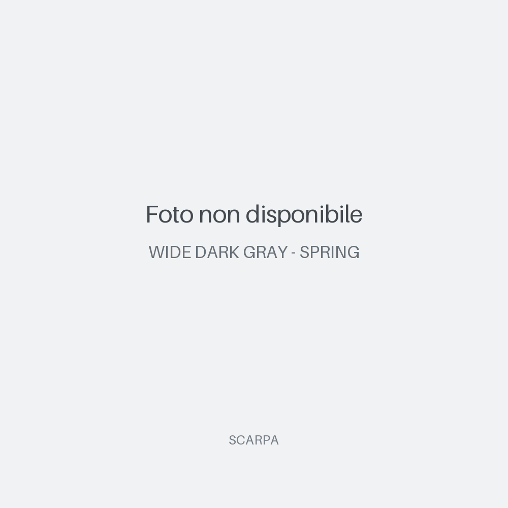 Zg Lite GTX - WIDE DARK GRAY - SPRING - HERO - 5338bd9707758f22