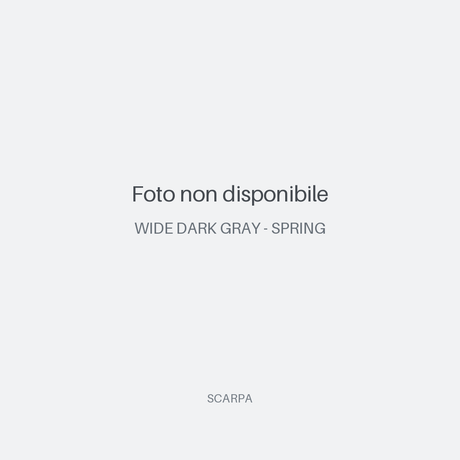 Zg Lite GTX - WIDE DARK GRAY - SPRING - HERO - 5338bd9707758f22