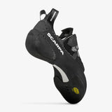 Blackbird image 6