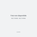 SCARPA - NECTARINE - NECTARINE - Foto non disponibile