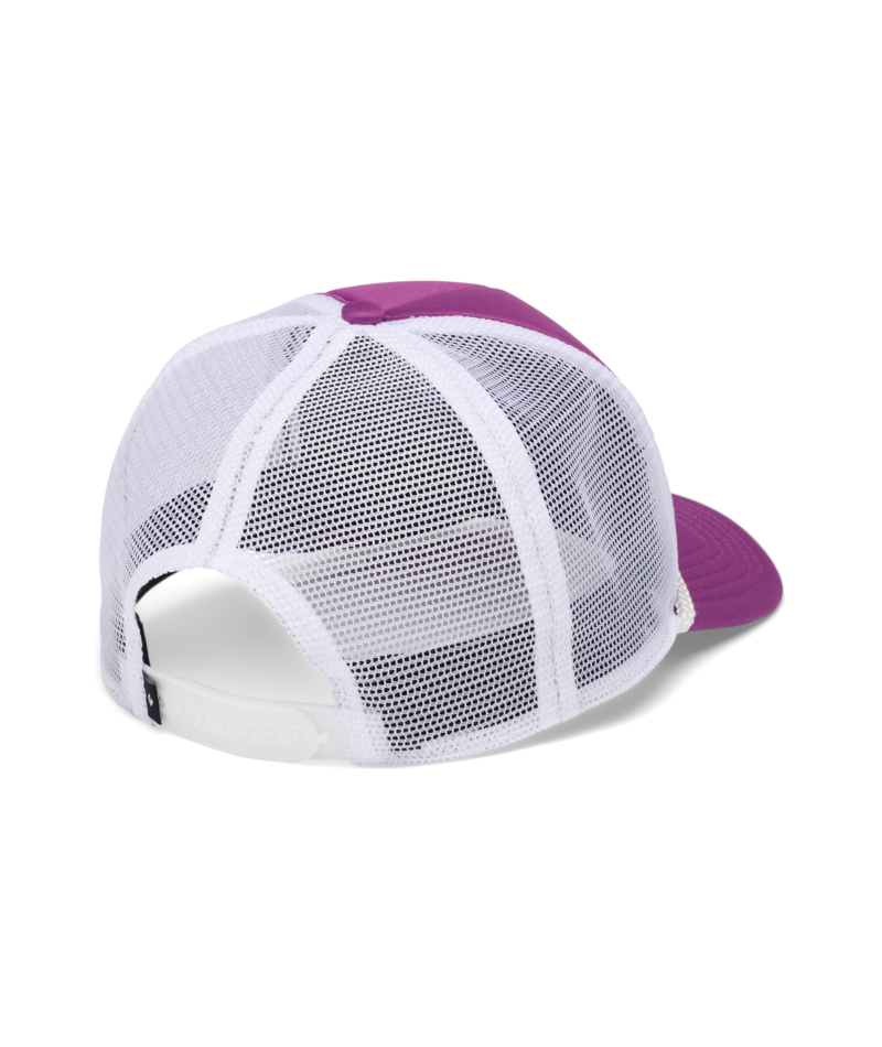 BLACK DIAMOND - FLAT BILL TRUCKER HAT