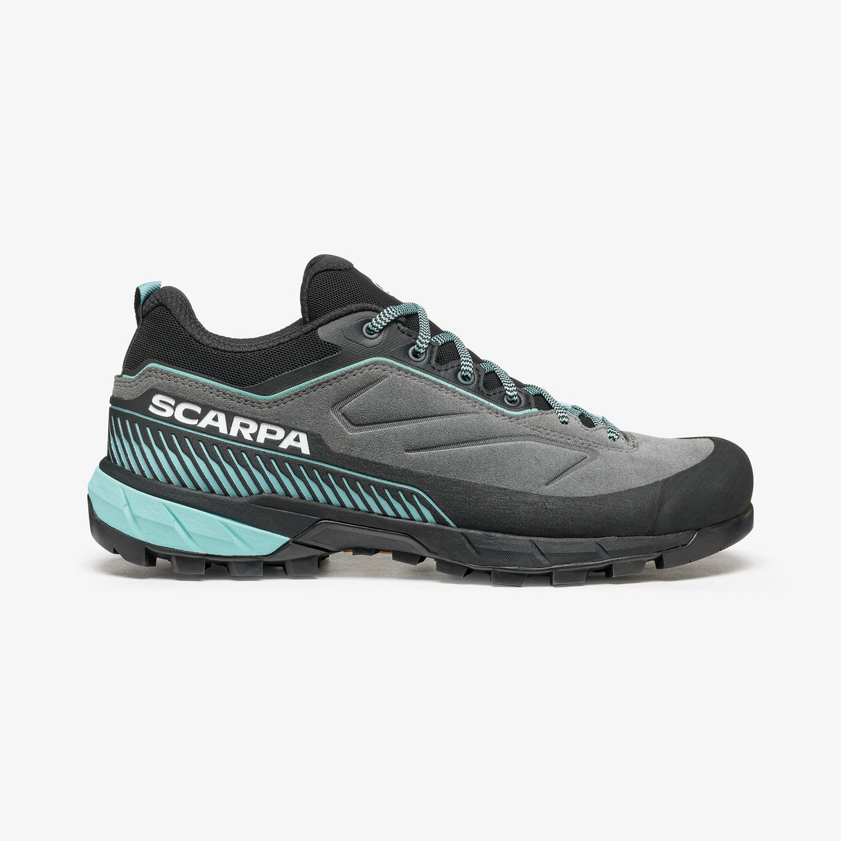 Rapid XT image 8