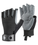 BD801859|BLAK