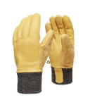 BD801861|NTRL