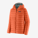 84702|CLOR
