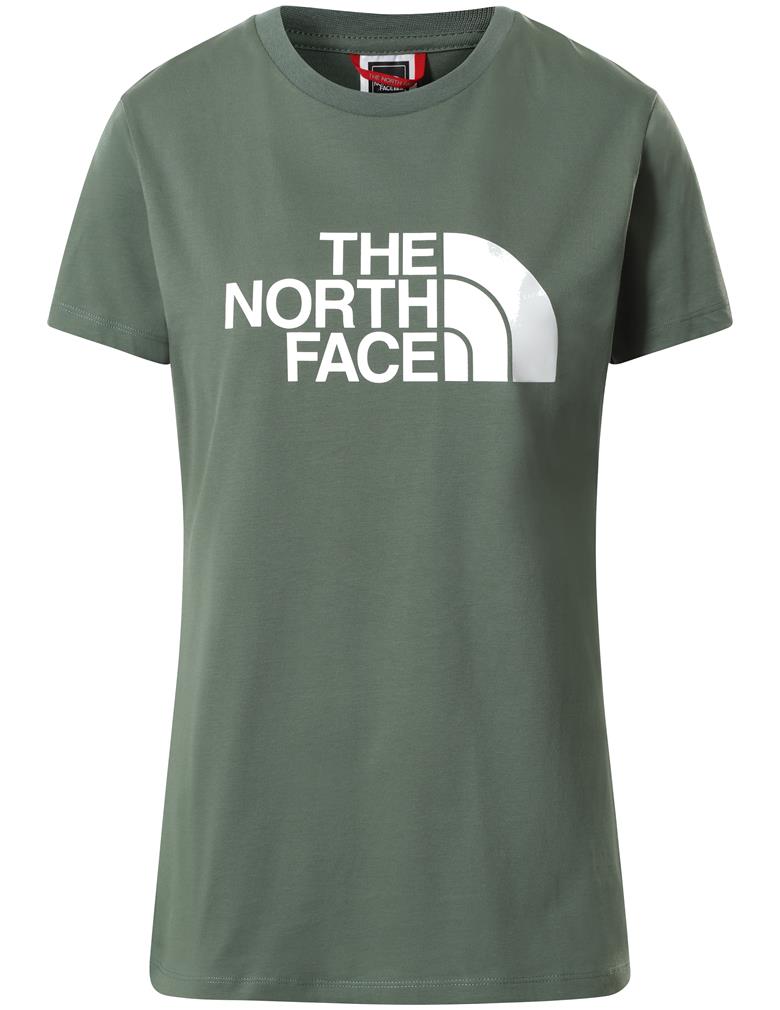 THE NORTH FACE NF0A4T1QV1T